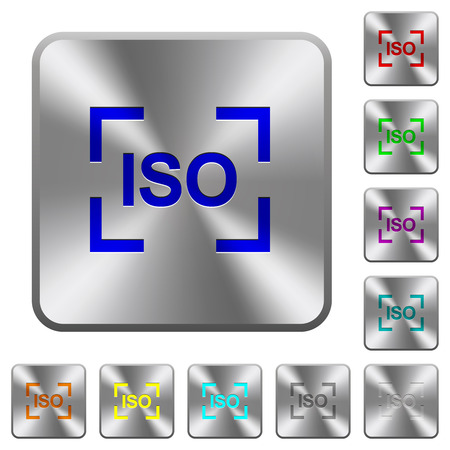 Camera iso speed setting engraved icons on rounded square glossy steel buttonsのイラスト素材