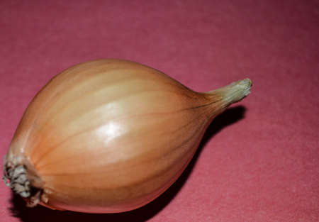 onion, yellow onion, autumn, harvest, garden, plants, food, taste.の写真素材