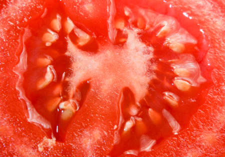 red juicy tomato cut in half with seeds inside.の写真素材