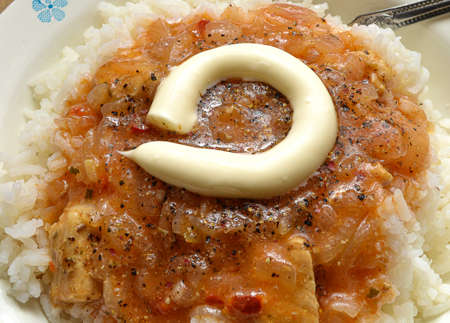 white rice with meat gravy, dish.の写真素材
