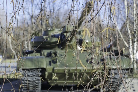 A tank hidden behind trees in the forest