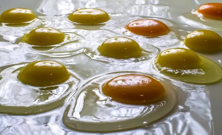 raw fresh broken eggs glare in the light on a white background