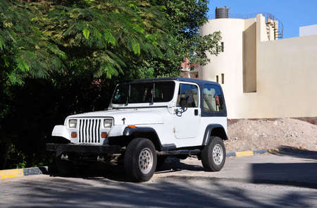 4WD in the shade of the acacia trees on the street in Egypt. の写真素材
