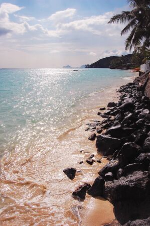 Sunny Hawaiian beach coastline. の写真素材