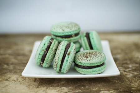 Choc mint macarons on a square plate 