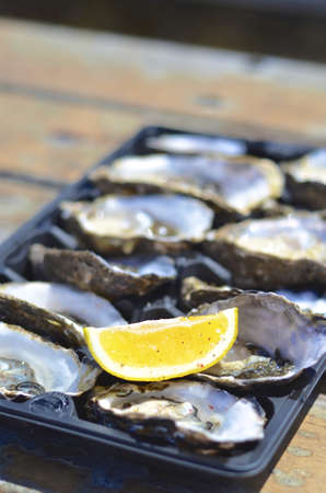 Dozen fresh oysters with lemon wedge at Kangaroo Island, Australia の写真素材