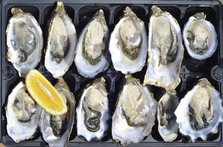 Top view of a dozen fresh oysters with lemon wedge at Kangaroo Island, Australia の写真素材