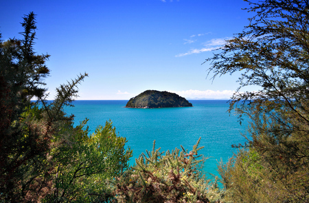Small island off the coast of New Zealandの写真素材