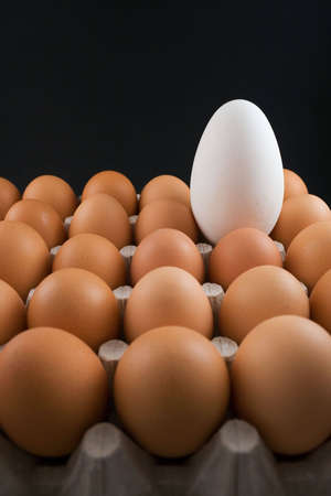 egg(s)の写真素材