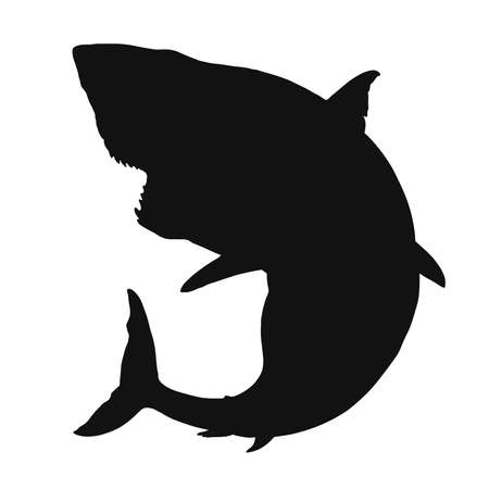 Great white shark silhouette flat black vector isolate illustration.のイラスト素材
