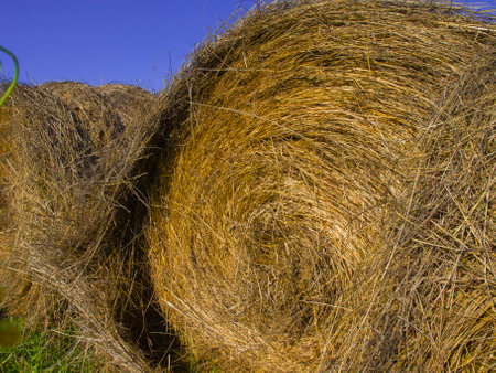 Hay dried and twisted into a drain, close angle