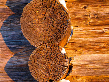 Logs of an old log house under the sun. 19th century buildingの写真素材