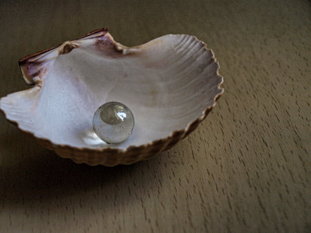 Sea shell with a glass ball on a wooden background, close-up