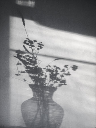 Shadow of a plant in a vase on a white wall.