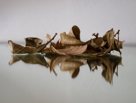 Dry leaves on a glass table with reflection and copyspace