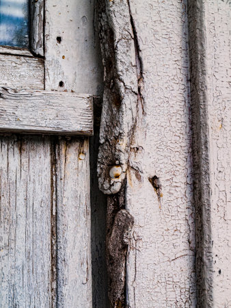 A fragment of an old wooden door in white paint with glass and rusty nailsの写真素材