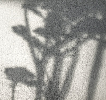 shadow of leaves on a white wall, close-up, background