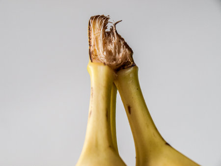 Close up of a banana on a white background, studio shot.の写真素材