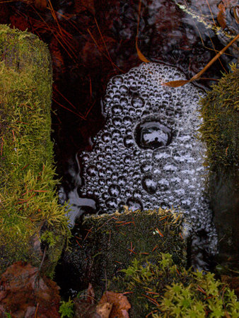 Foam waterfall in the forest with moss and ferns.