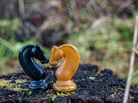 Chess pieces on the ground in the forest. Selective focus.