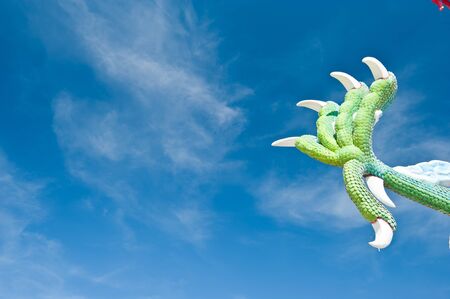 Dragon claw with blue sky の写真素材
