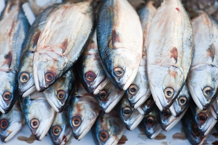 Fresh fish on the market 