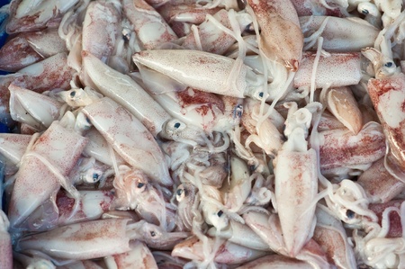 Squid on the market in Thailandの写真素材