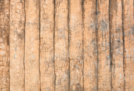 Texture of Cement Wallの写真素材