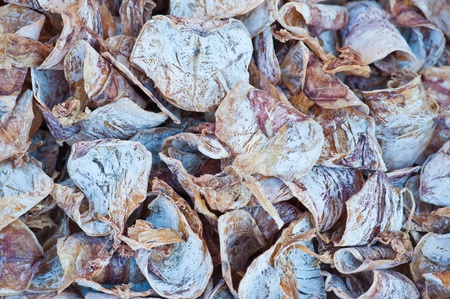 Dried Squid at Thailand Market の写真素材