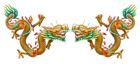 Twin golden dragon statues on white background with reflectionの写真素材