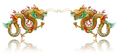 Twin golden dragon statues on white background with reflectionの写真素材