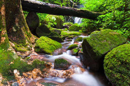 Sai Thip Waterfall at Phu Soi Dao National Park, Uttaradit, Thailandの写真素材