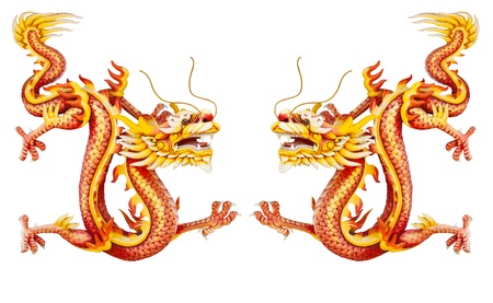 Twin golden dragon statues on white backgroundの写真素材