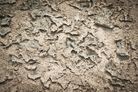 cracked groundの写真素材