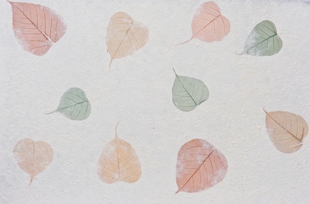 Mulberry paper texture backgroundの写真素材
