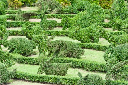 Tropical Gardenのeditorial素材