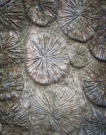 Texture of Cement Wallの写真素材