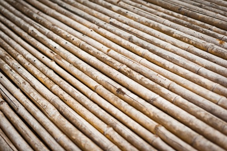 Bamboo textureの写真素材