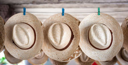 straw hatsの写真素材