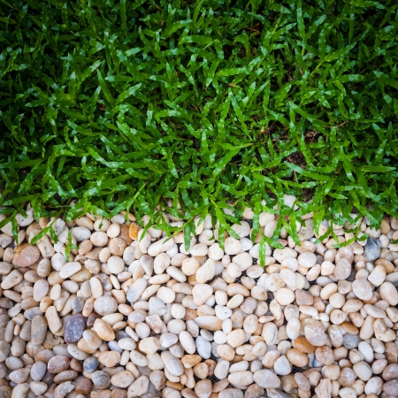 Green grass with stoneの写真素材