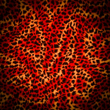 tiger red fur textureの写真素材