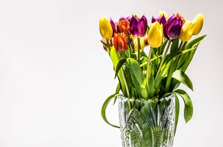 Tulip flowers in a glass potの写真素材