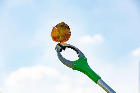 Gardener's grabber holding an autumn leaf against the backdrop of a blue sky. Ecology concept.の写真素材