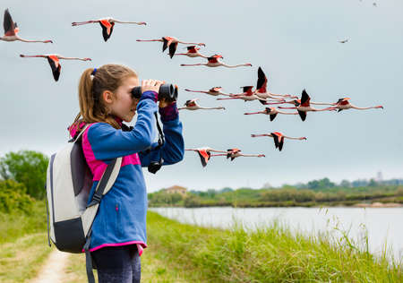 Young girl watching flamingos in flight through binoculars against the background of the nature....