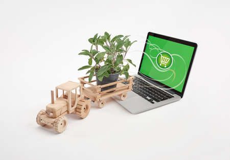 Wooden tractor with trailer, carrying a jar full of earth with sage plant. Zero km transport...