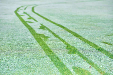 Footprints and tracks of a cart on a golf course in winter with fog and frost. A golfer with a cart leaves his tracks by stepping on the frost covered grass.の写真素材