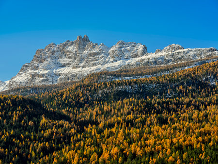 Autumn foliage in the larch woods, at the foot of the snow-capped Croda da Lago mountain range, in the Dolomites, Cortina d'Ampezzo, Veneto, Italy, Europe. Range with characteristic peaks, wooded areas and lakes, a renowned place for climbing, hiking, biking and snowshoeing.の写真素材
