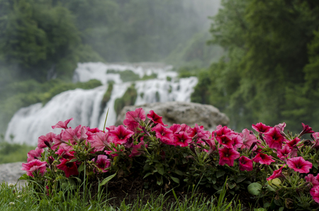 Horizontal waterfall flowersの写真素材
