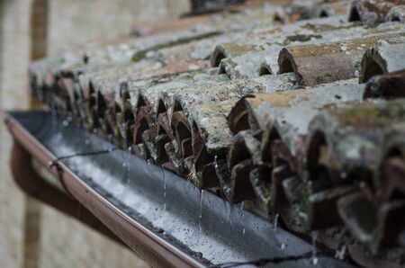 roof tiles and rainの写真素材