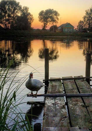 Villageの写真素材